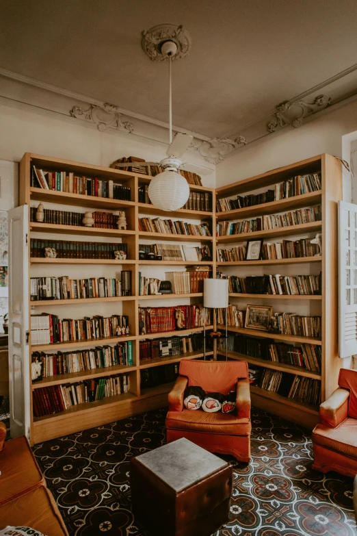 a living room filled with furniture and a book shelf filled with books