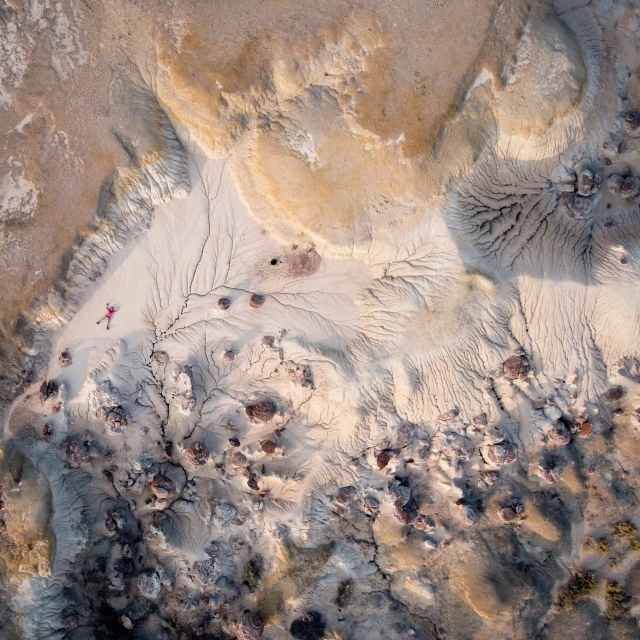 the aerial view shows sandy landscape with sp trees