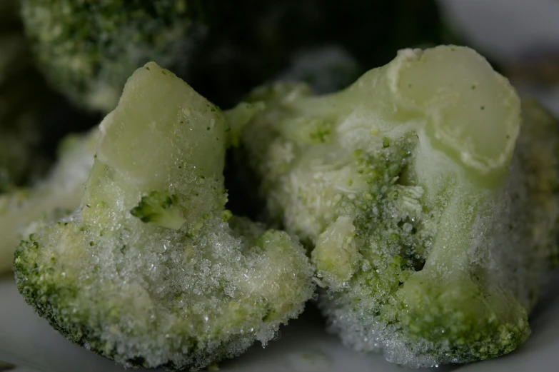 some green pieces of broccoli covered in ice