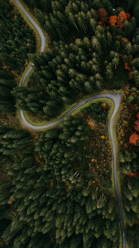 an aerial s of a road surrounded by trees