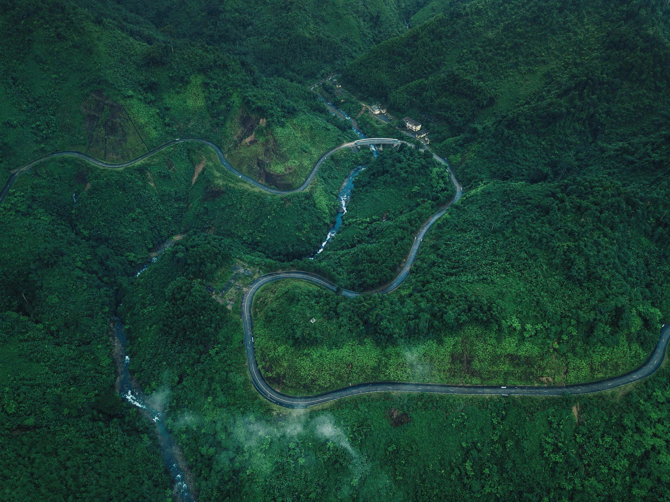 aerial view of river winding through forested area