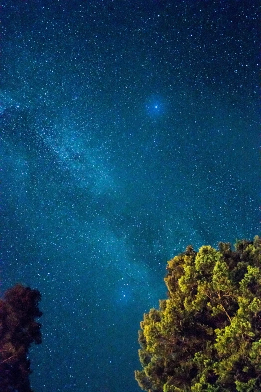 trees on the left and a bright shining sky on the right