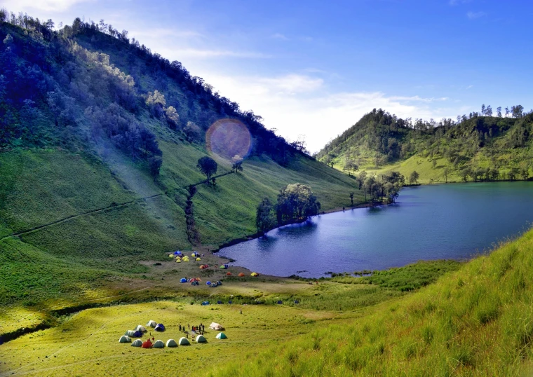 a field with some sheep near a mountain lake