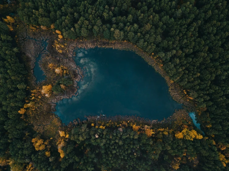 a blue pool with yellow and green trees surrounding it