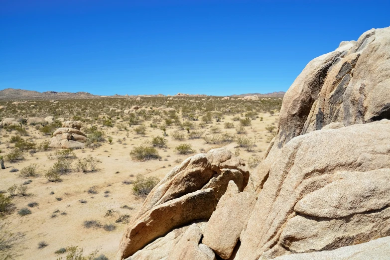 a rock face in the middle of an open area