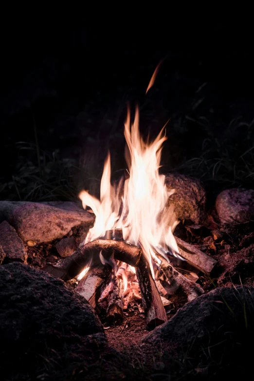 a small bonfire lit in the woods during the night