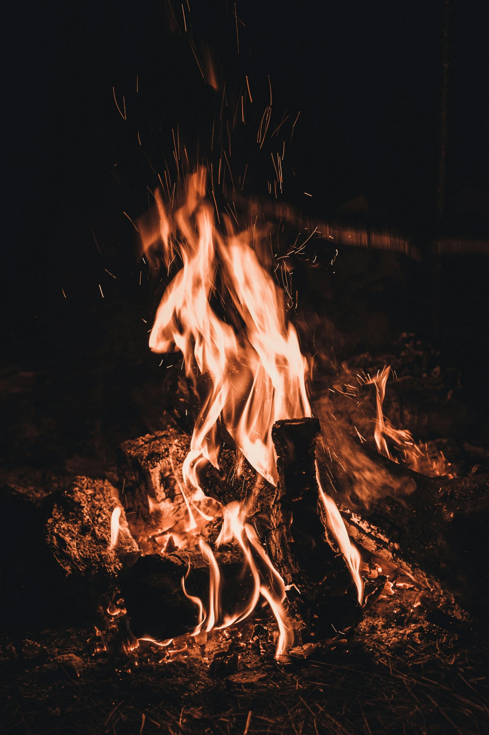 bonfire with a wood and fire ring in the dark