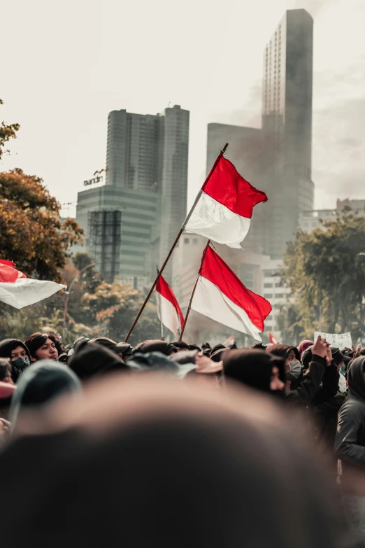 several flags are on display in the crowd