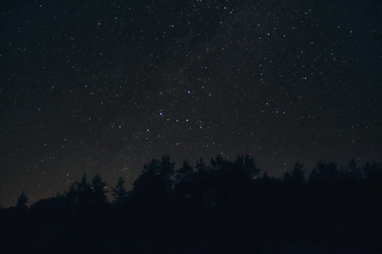 stars and the sky over some forest