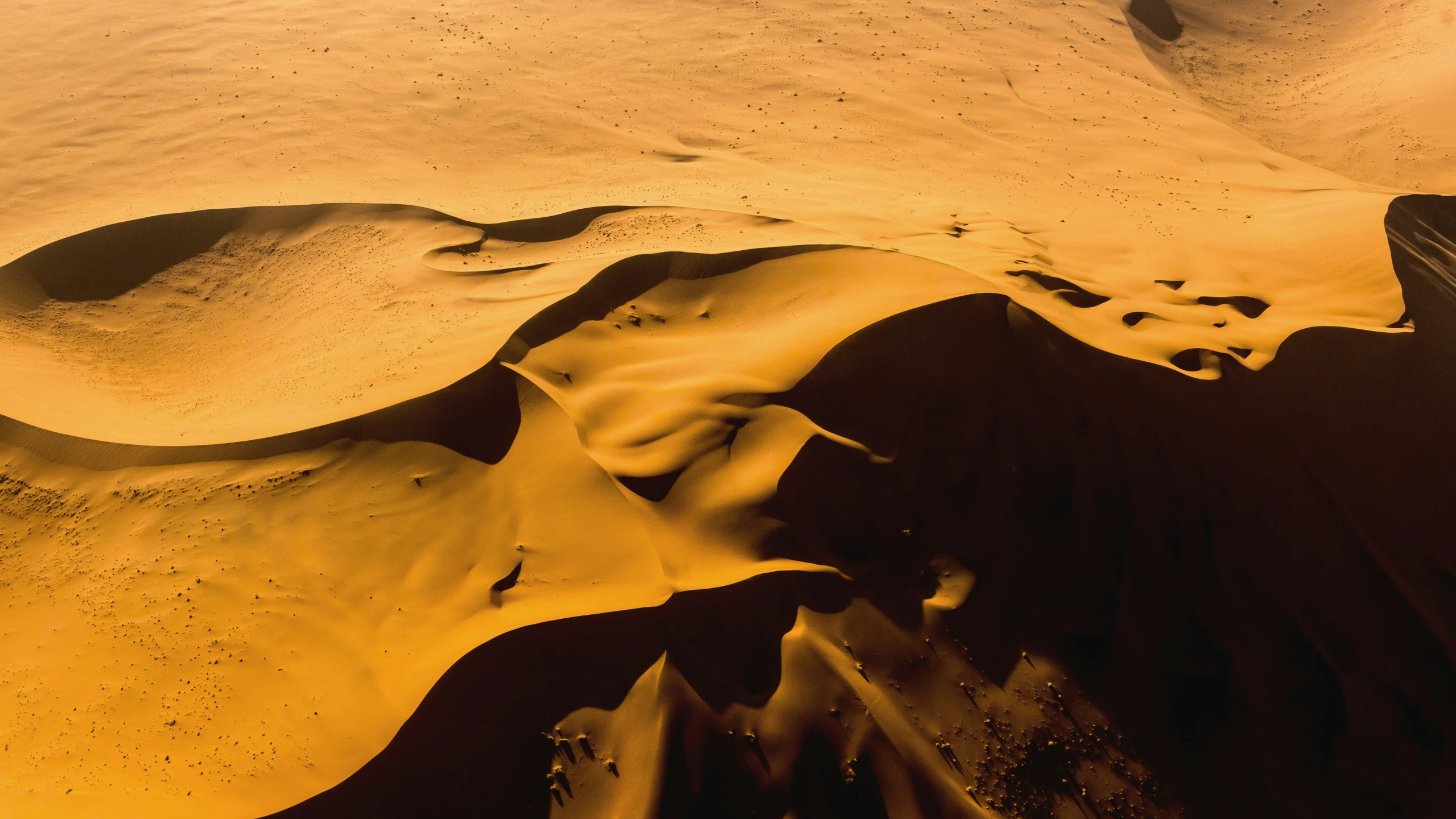 the tops of a dune formation with a single sand ball in the foreground