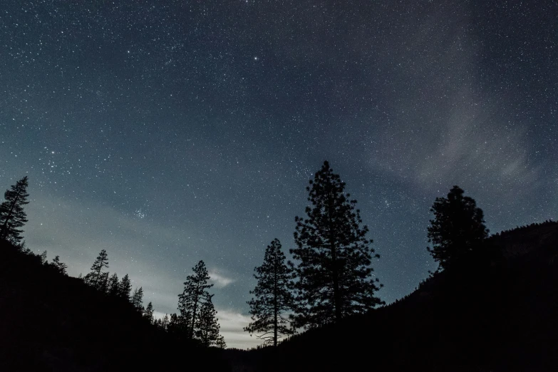 the stars over the tree tops of a mountain