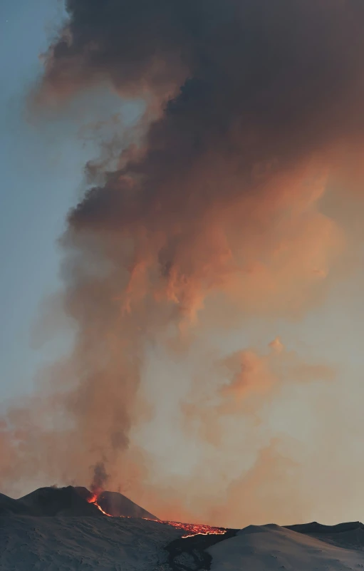 a long black smoke stack rising from the ground