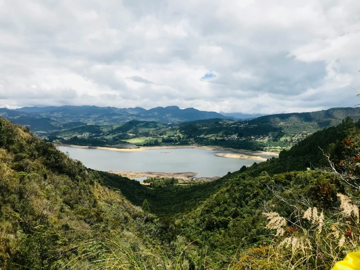 view of large lake in middle of green area