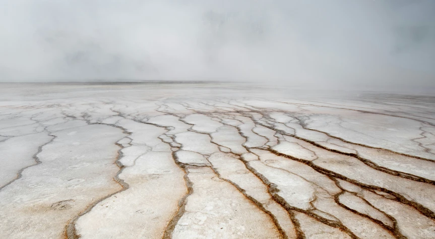 a view of the tundra with snow and grass