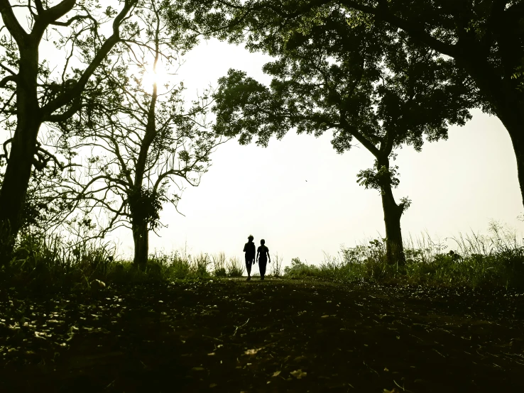 two people standing under trees on top of a hill