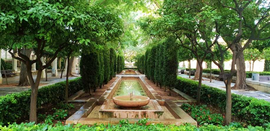 trees and bushes near a fountain in a park