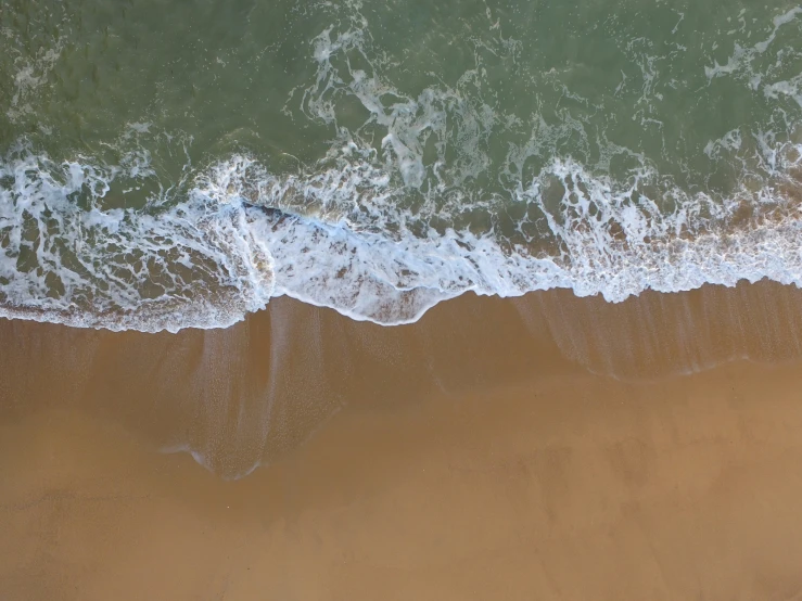 two people are on the shore near the ocean