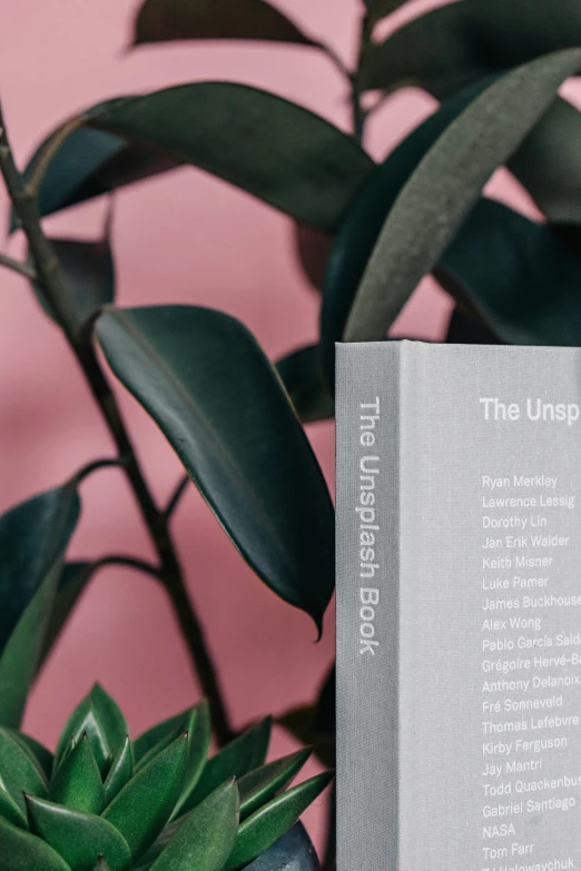 the unseen book is sitting next to a plant