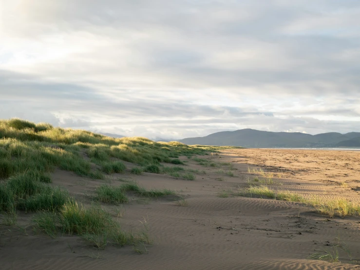 a sandy area with grass and hills in the background