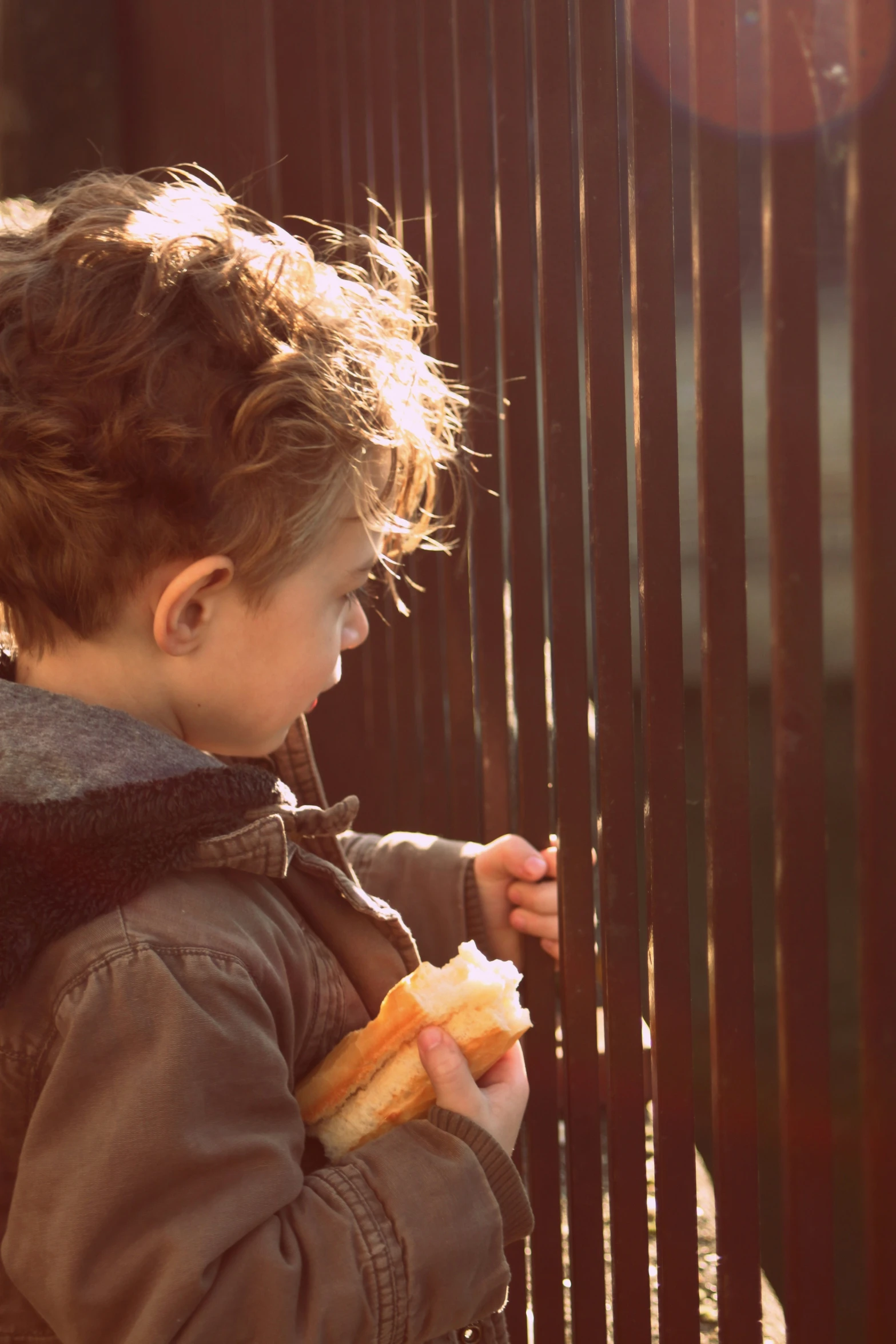 a young child standing at the fence and eating a  dog