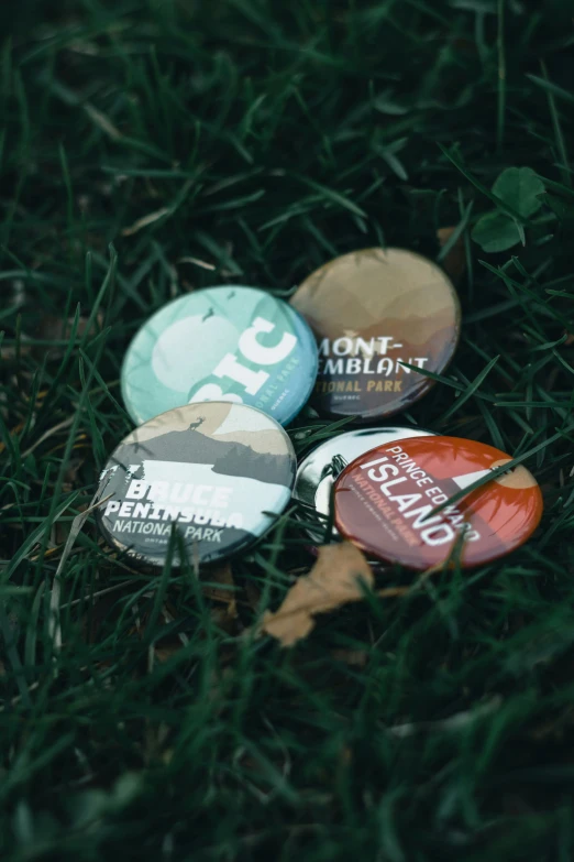 four badges sitting in the grass on top of each other