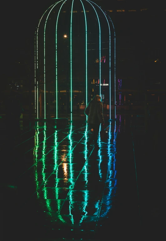 a birdcage on a wet surface with lights around it