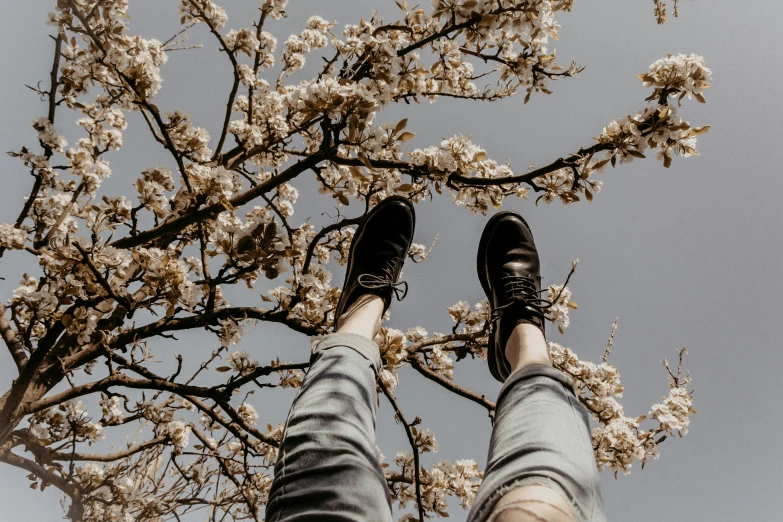 a person standing with their legs hanging down in a flowering tree