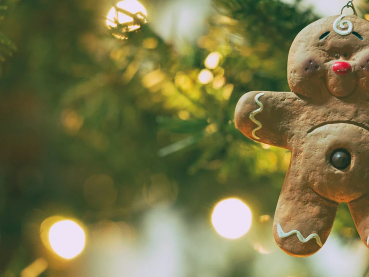 a little gingerbread teddy bear is hanging from a tree