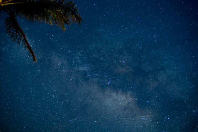 the night sky with some stars over trees