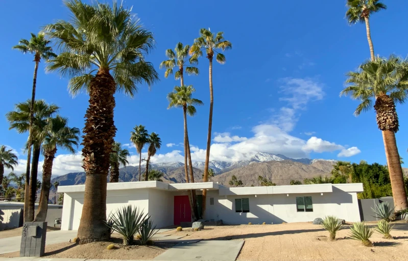 a house with a red door and some palm trees