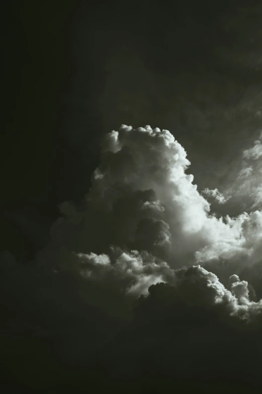 a bird flying through a cloudy sky with a jet in the foreground