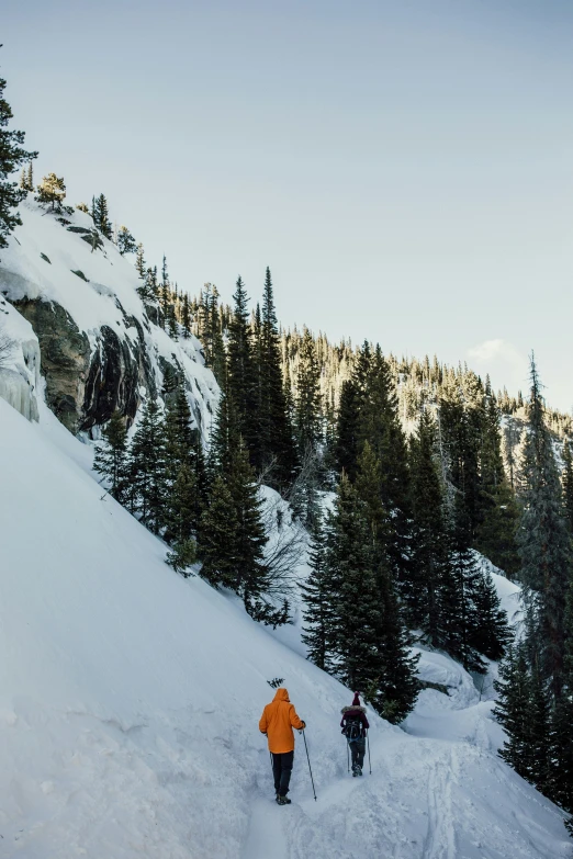 two people trekking up a snowy mountain with pine trees