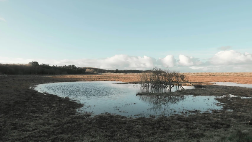 a pond on a flat plain with some trees in the middle