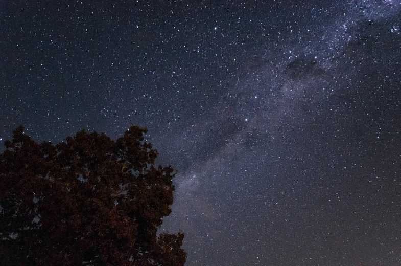 a night sky with many stars above some trees