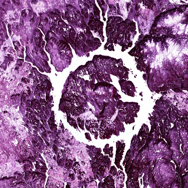 a purple and white painting shows a circular shaped area in the center