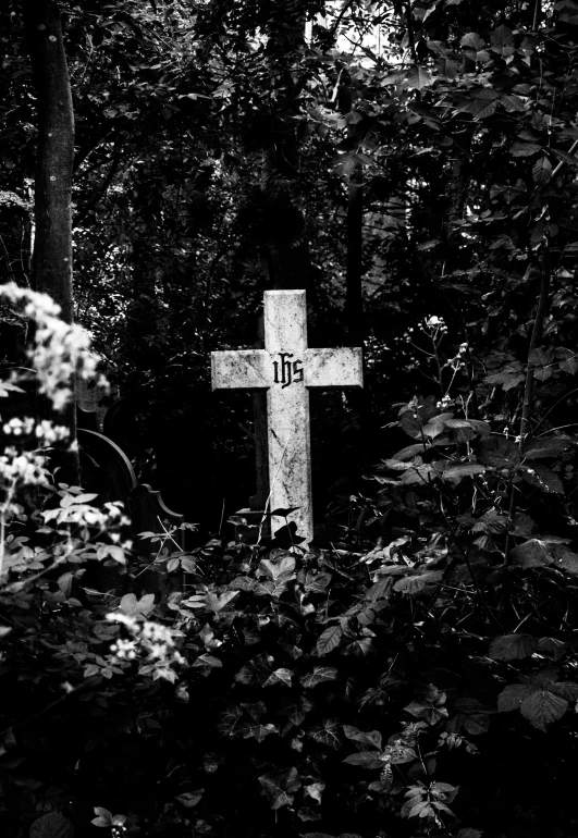 a wooden cross sits in the middle of a forest