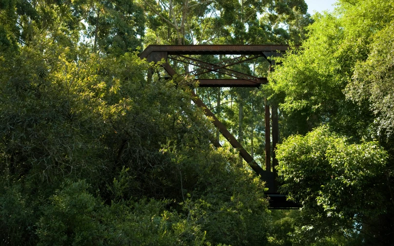 a train trestle above trees with an overhang