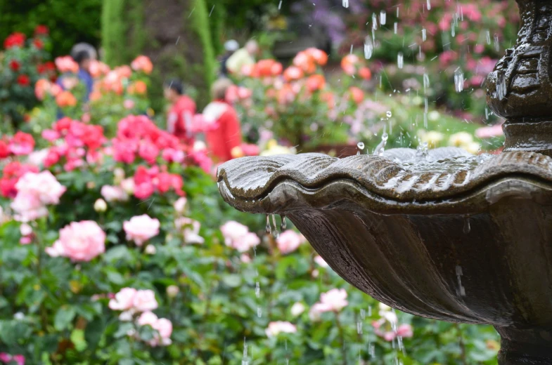 water is flowing from the base of a statue