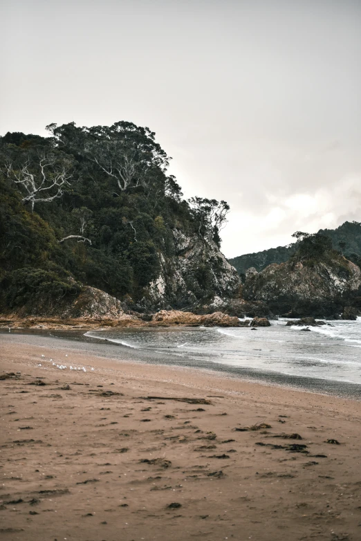 there is a sandy beach next to the ocean