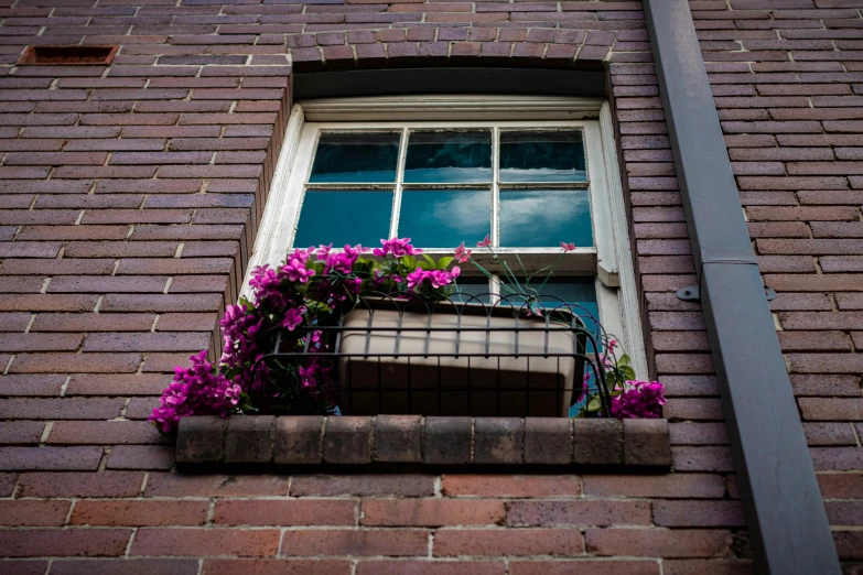 a window sill that has flowers in it