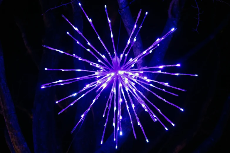 a brightly colored fireworks with purple lights on
