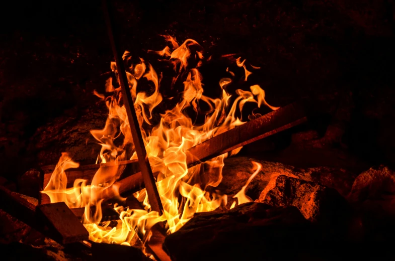 a very big pile of fire pit inside of some bushes