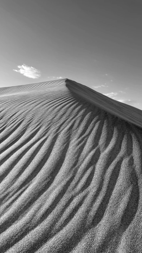black and white pograph of a sand dune