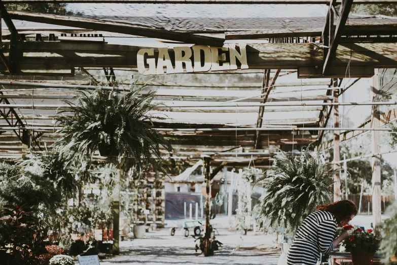 woman sitting in an empty garden cafe with a sign that reads garden