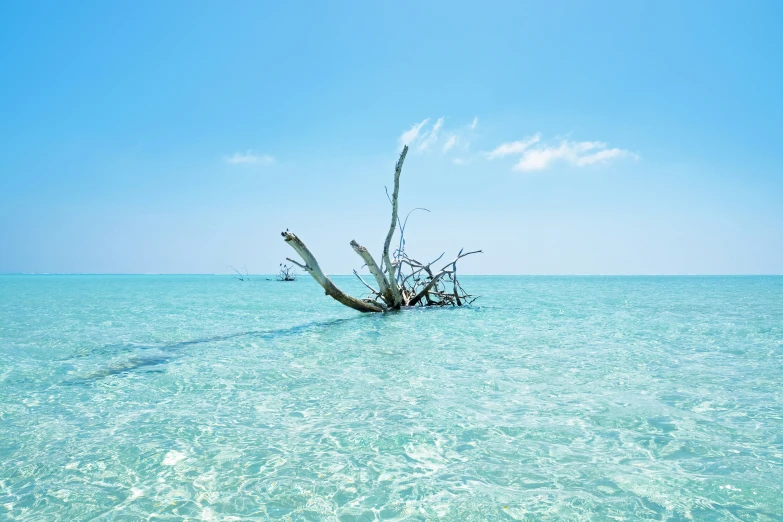 a boat sits in the shallow, blue water near an island