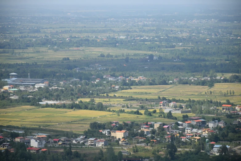 a town is surrounded by trees in the middle