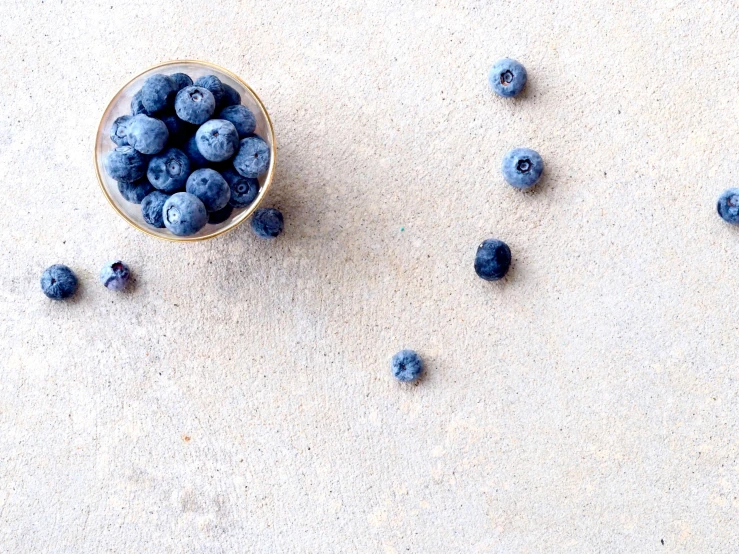 small bowls of fresh blueberries on a white surface