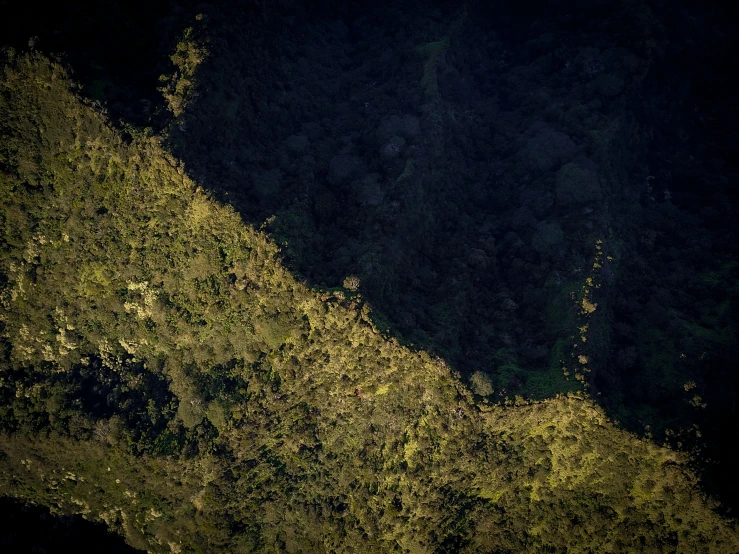 an aerial view of a small body of water