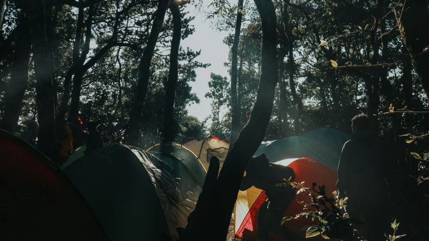 a group of camping gear is placed in a clearing