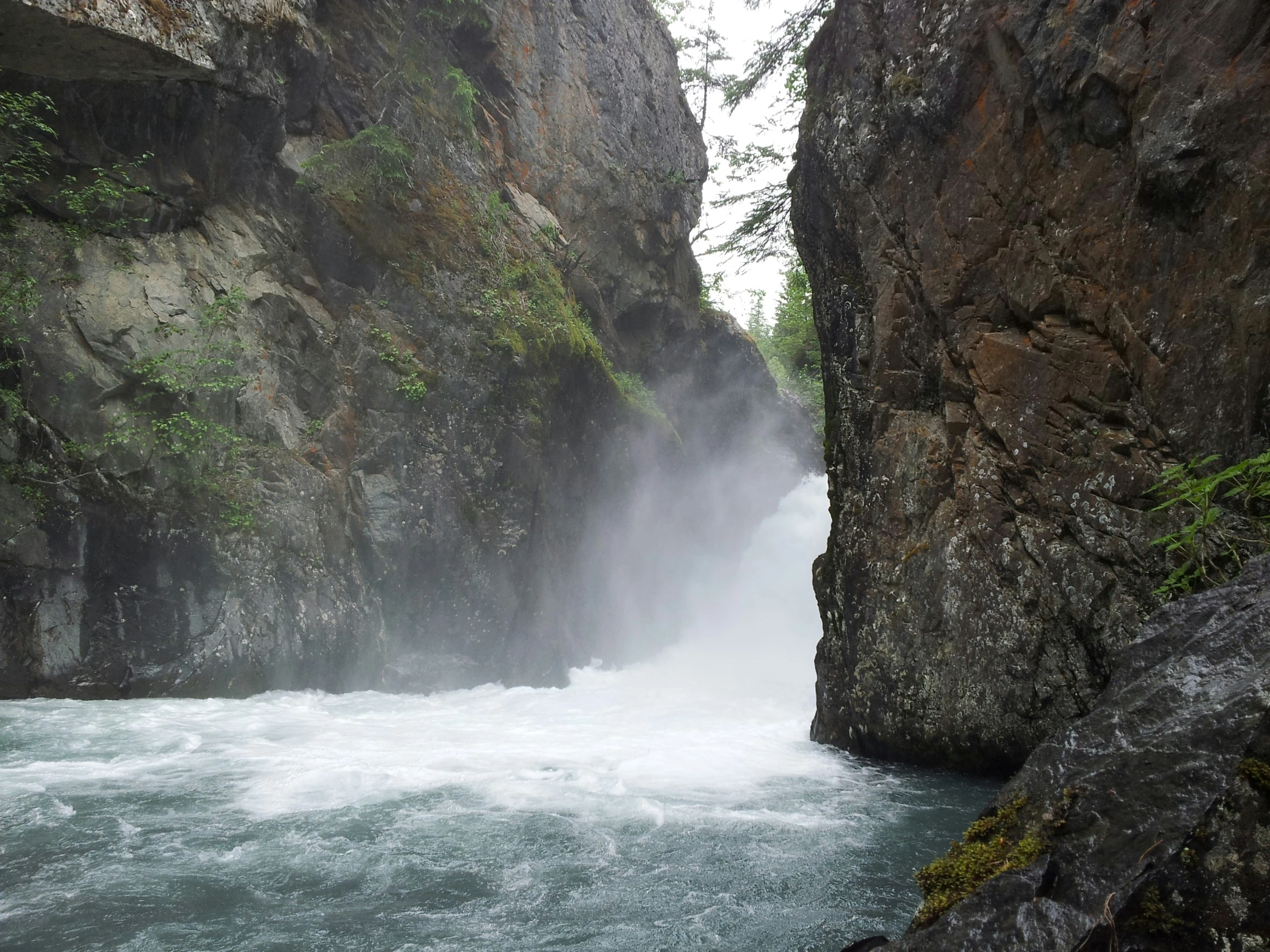 a water fall at the base of a cliff next to a forest